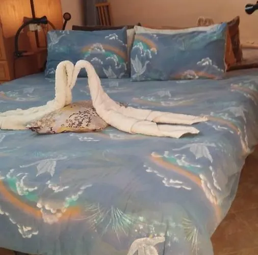 Apartament Terassas- Playa De Americas - Tenerife- Espagne Playa de las Americas (Tenerife)