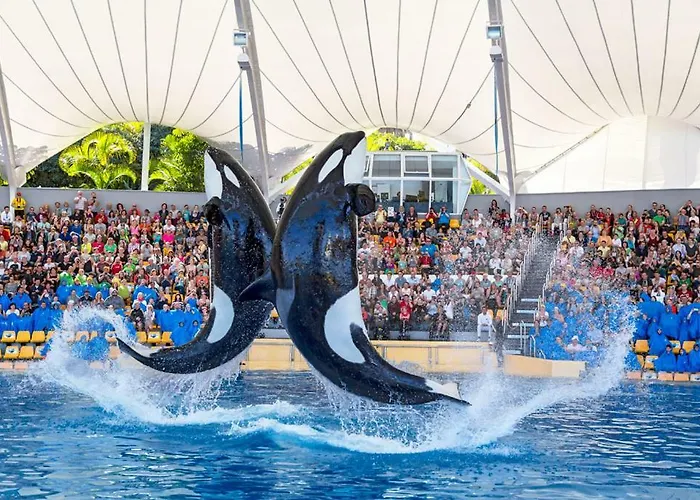 Terassas- Playa De Americas - Tenerife- Espagne Playa de las Americas (Tenerife)