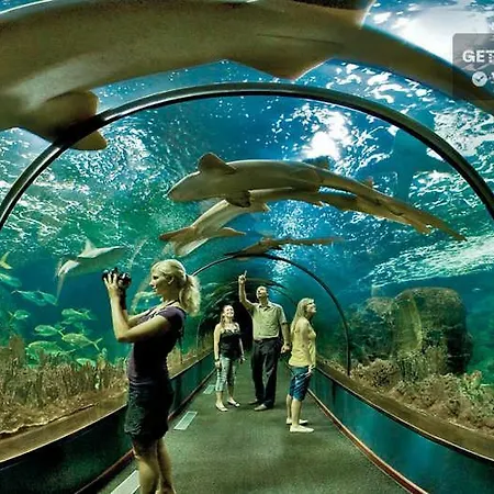 Terassas- Playa De Americas - Tenerife- Espagne Lejlighed *