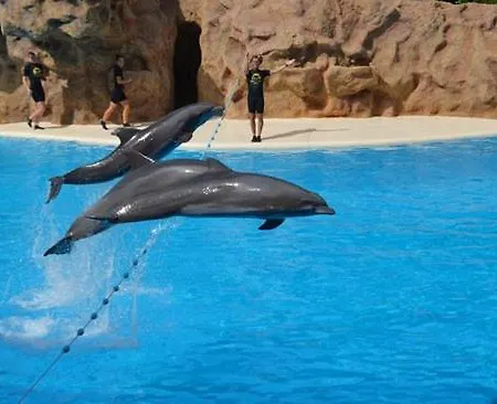 Terassas- Playa De Americas - Tenerife- Espagne