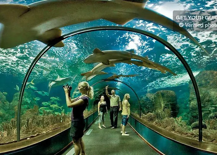 Terassas- Playa De Americas - Tenerife- Espagne Апартаменти *