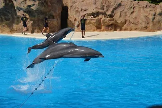 Terassas- Playa De Americas - Tenerife- Espagne